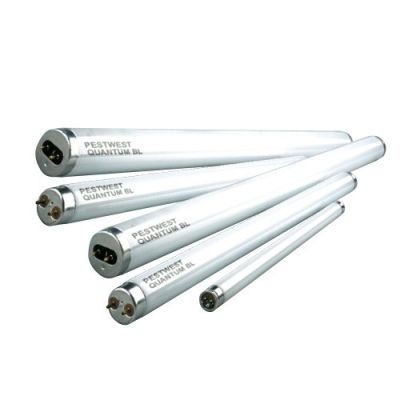 25 Watt PestWest QBL recht 45 cm (T8)