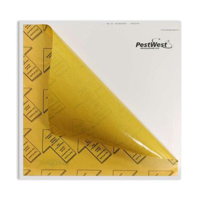 Plaques de glu Sunburst® (set 3)
